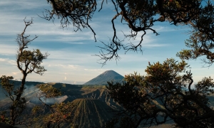 Wisata Bromo Dimana